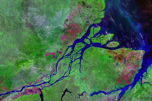 Desembocadura del río Amazonas. / Wikipedia