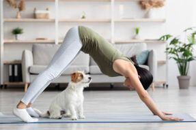 Prohíben la práctica de yoga con cachorros en Italia, ¿por qué?