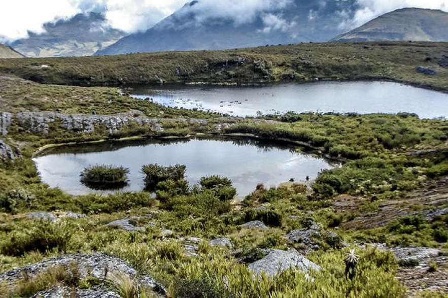 El Páramo de Pisba se encuentra en la Cordillera Oriental en la región Andina de los Andes, entre Casanare y Boyacá. Tiene 106.243 hectáreas de extensión y se ubica entre los 3.100 y 4.100 metros sobre el nivel del mar.