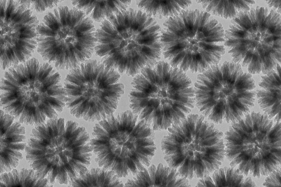 Una matriz de nanopartículas de sílice en bruto, dispuestas y capturadas en el Centro de Microscopía y Microanálisis de la UQ.