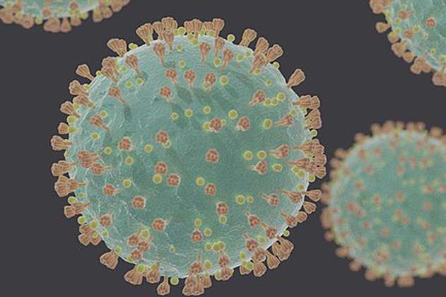 Sí, crearon una “versión híbrida” del coronavirus, pero no tiene por qué alarmarse
