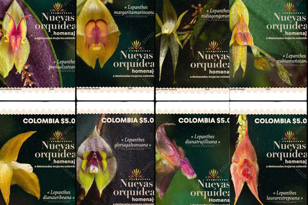 Lanzan colección de estampillas con la imagen de ocho nuevas orquídeas