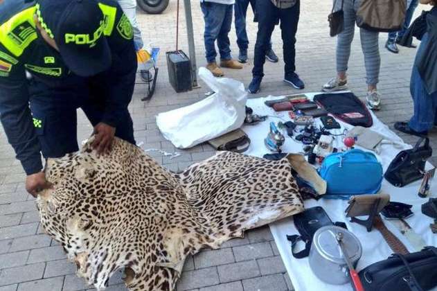 Piel de jaguar que iba a ser comercializada fue incautada en centro de Medellín