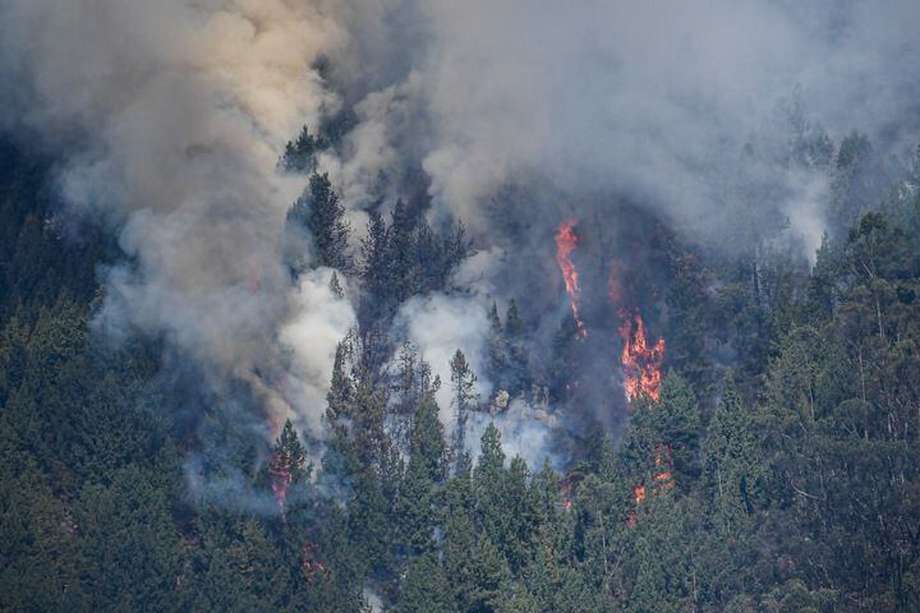 El incendio en los Cerros Orientales de Bogotá completa 72 horas. En otras zonas del país, como Santander, también se han registrado conflagraciones en zonas protegidas. 