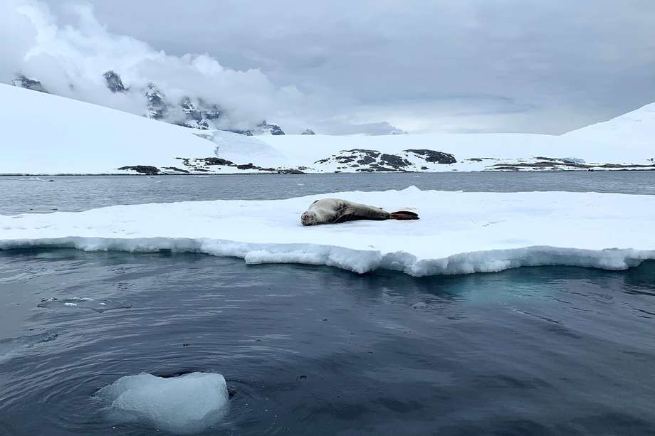 En 44 años de observaciones satelitales de la capa de hielo de la Antártida, el récord mínimo mensual se midió en febrero de 2022, con menos de 2 millones de km2.