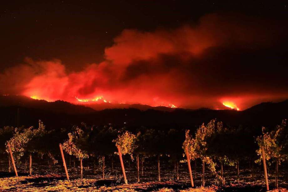 Las grandes catástrofes que se están presentando en la actualidad, también representan un gran peligro para la producción vinícola.