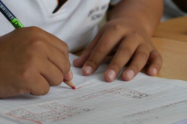 Colegios públicos de Bogotá iniciarían retorno gradual el próximo 25 de enero