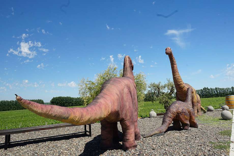 Bodega Schroeder, en San Patricio del Chañar, Neuquén. Durante su construcción, se encontraron los restos de un dinosaurio. Estas réplicas rinden homenaje a ese hallazgo.
