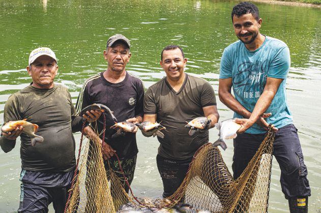 En El Tarra, Catatumbo, sustituyeron coca por pescado