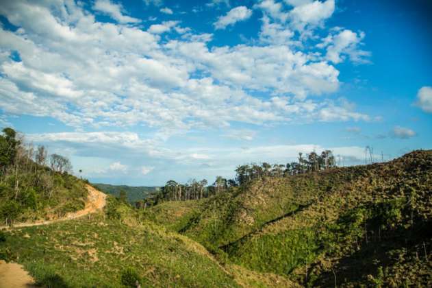 Municipios de Cundinamarca reducen huella de carbono en sus territorios