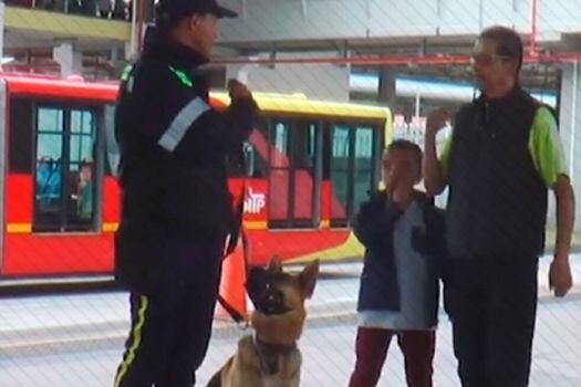 La propuesta de la administración de Claudia López es que los perros no solo dejen de prestar sus servicios en estaciones y portales de Transmilenio sino también en colegios públicos.  / Cortesía TM