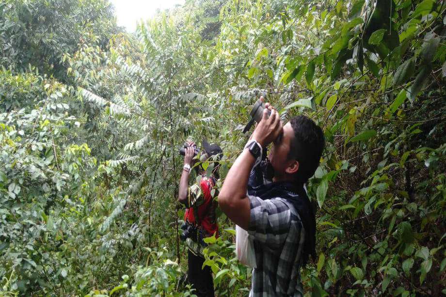 Ex combatientes haciendo avistamiento de aves en Casanare. / Jaime Góngora