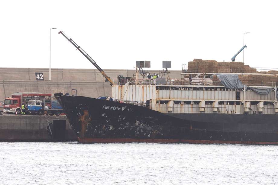 La Policía Nacional y el Servicio de Vigilancia Aduanera en Canarias registran el buque de transporte de ganado "Orion V", en el que se encontró un cargamento de cocaína.