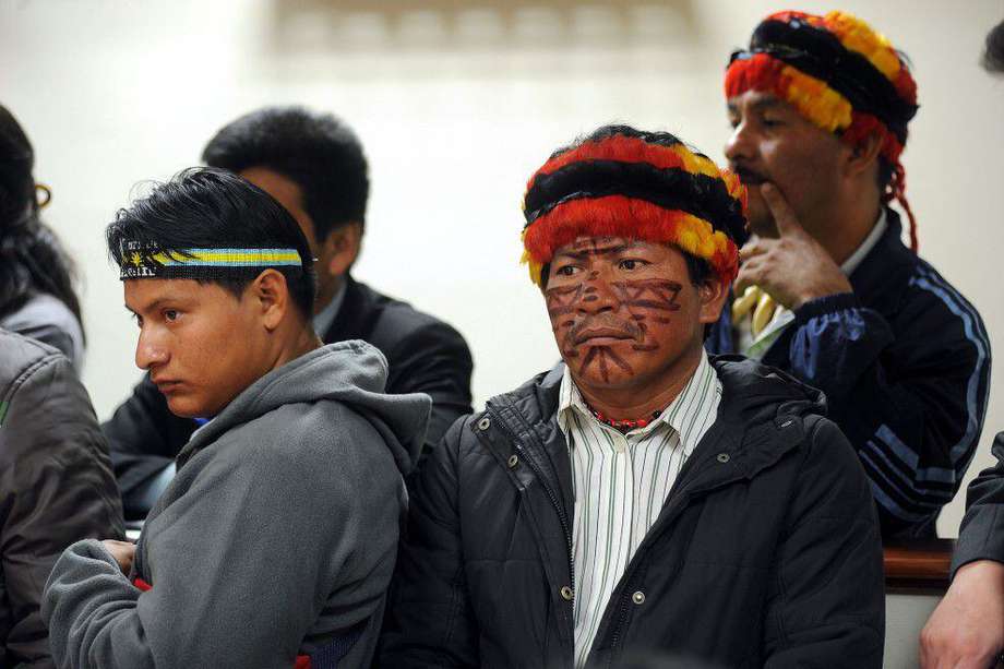 El pico de los casos entre indígenas amazónicos es Brasil./ Congreso de la República de Perú