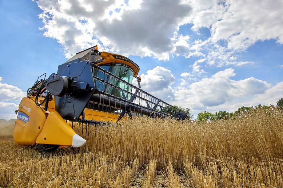 Una cosechadora recolecta trigo en un campo cerca de Járkov, Ucrania, el 30 de julio de 2022. 