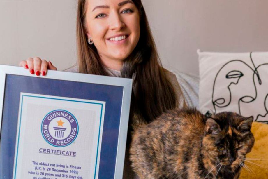 El Guinness World Records ha anunciado un récord se trata de la gata más viejo del mundo, se llama Flossie y vive en Londres. Esta es su historia.