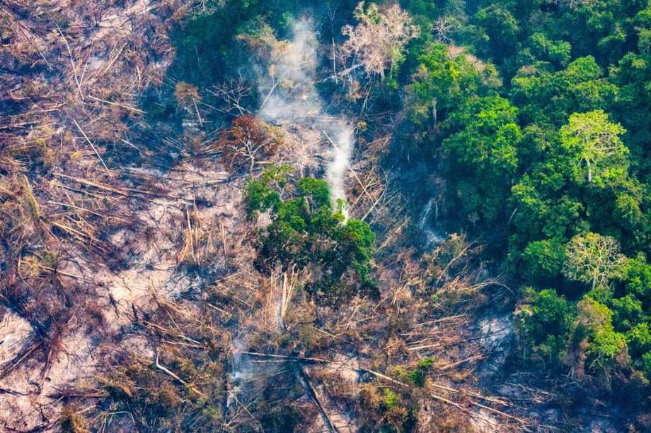 En los últimos 21 años se deforestaron en Colombia más de tres millones de hectáreas. 