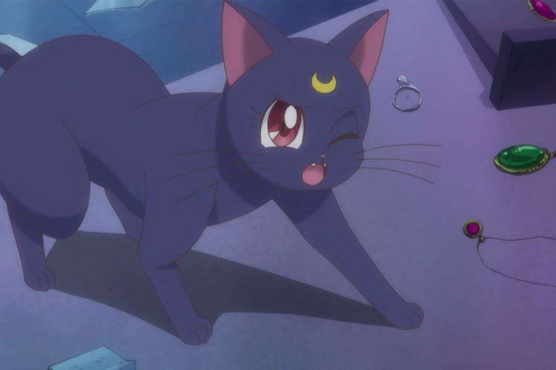 Luna es un personaje que aparece en el manga y anime Sailor Moon. Es una gata de color violeta oscuro que puede hablar y acompaña siempre a la protagonista, Usagi Tsukino.