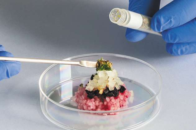 Carne sin matar animales: ¿Se comería una pechuga fabricada en un laboratorio?