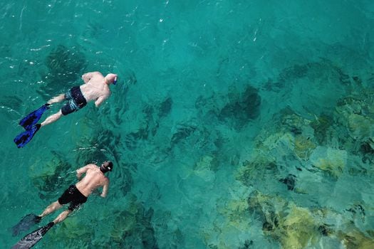 Uno de los lugares de buceo recomendados en Islas Vírgenes es Great Lameshur, cubierto de corales rosados, morados y amarillos, lo que crea un paisaje submarino que remite a un jardín.