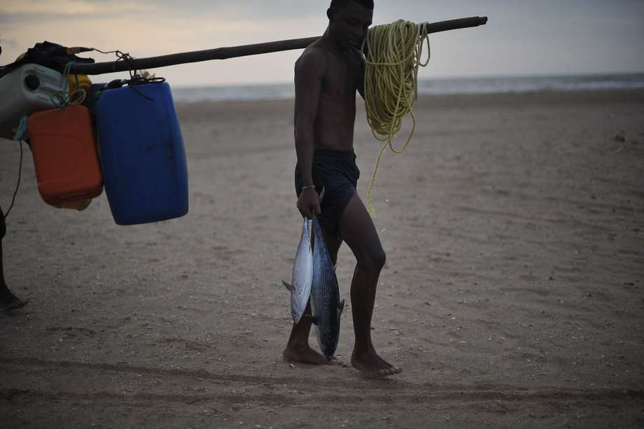 La Aunap responde a los intereses de más de 1,4 millones de personas, de acuerdo con la Política de Pesca en Colombia.