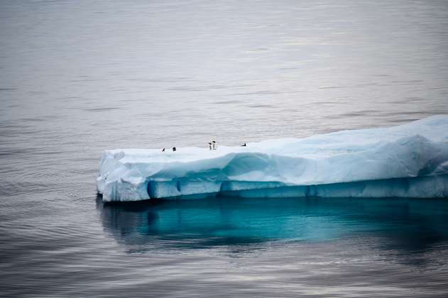 El Ártico podría quedarse sin hielo en el verano durante la próxima década