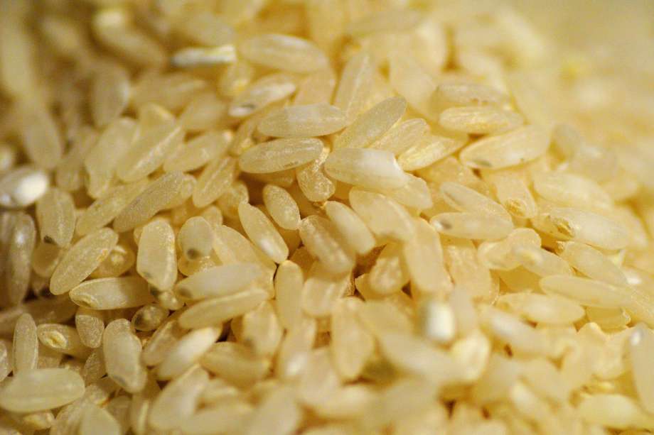 Anualmente se producen más de 750 millones de toneladas de arroz.