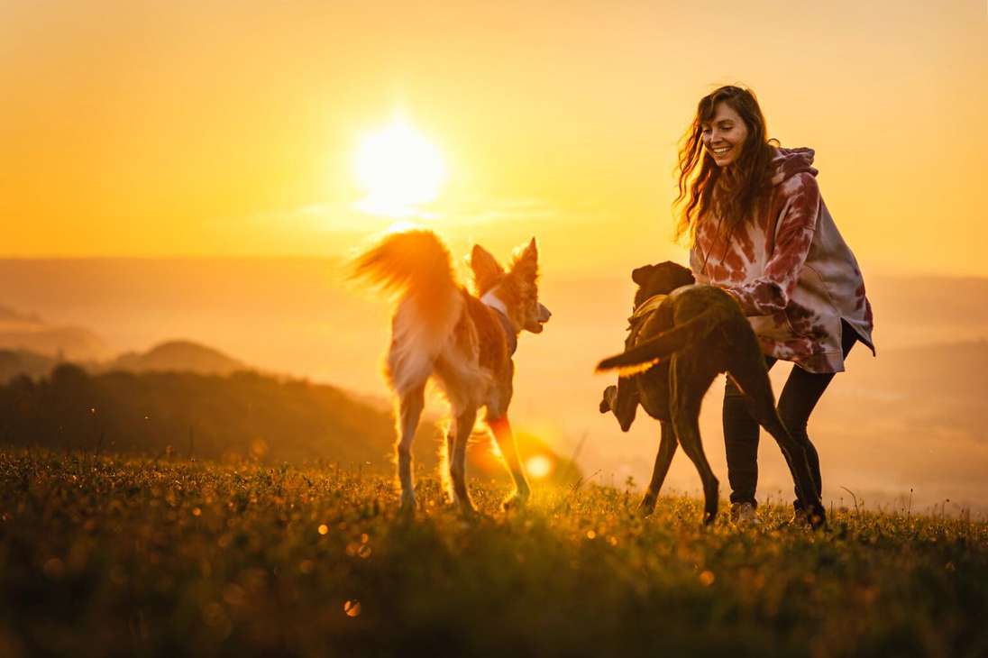 Esta fotografía de Sarah Ebner que muestra a una mujer jugando en el atardecer en medio de una pradera con sus perros, se llevó el segundo lugar en la categoría de Perros y personas.