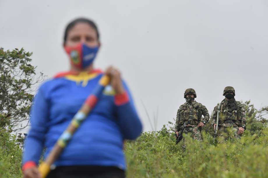 Al frente, una guardia campesina del Catatumbo y al fondo, dos militares en medio de un sembradío de coca. Imagen tomada en Hacarí, Norte de Santander. 