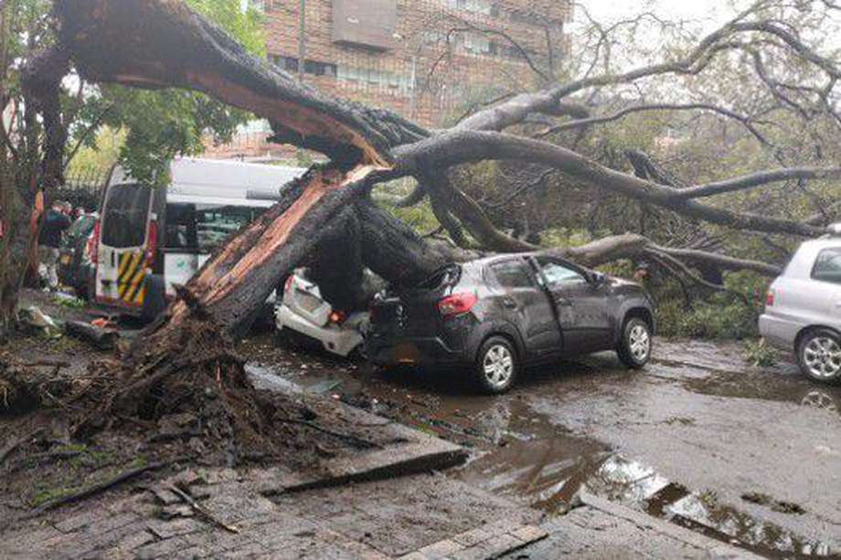 La tarde de este lunes 22 de abril un árbol de gran tamaño cayó sobre 6 vehículos en la localidad de Suba. No se reportaron personas lesionadas.