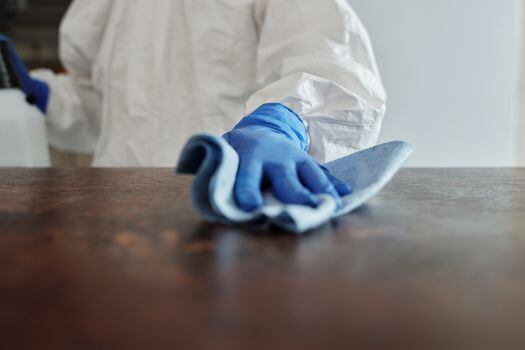 Los trapos de la cocina acumulan mucha suciedad que es importante desinfectar frecuentemente.