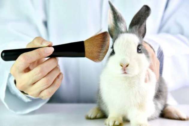 ABC de la Ley que prohíbe la experimentación con animales en Colombia
