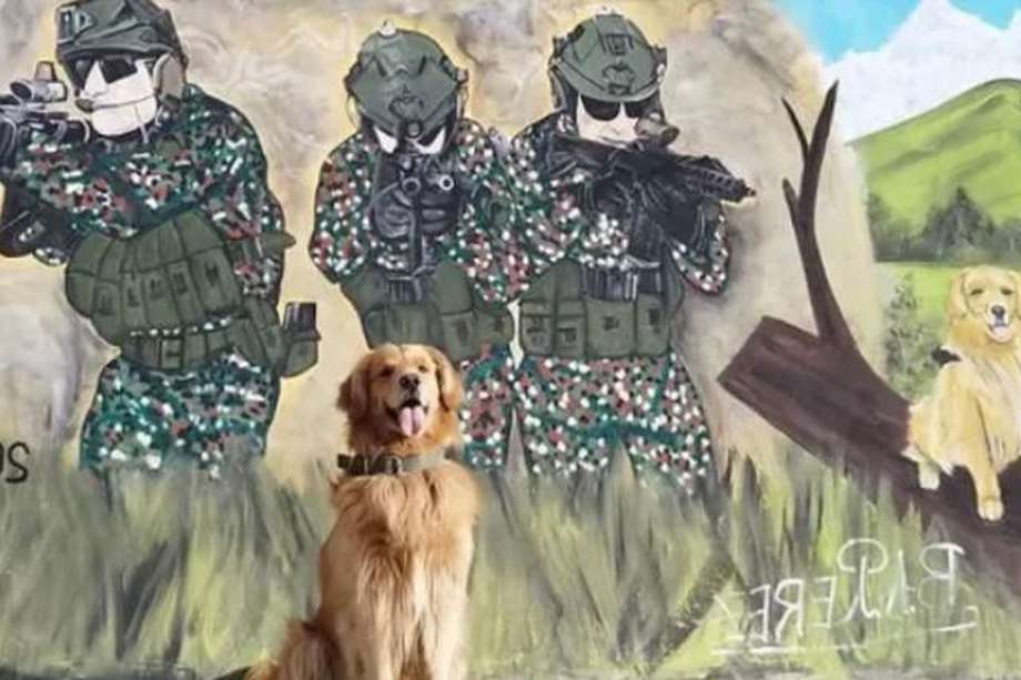 Killer es un perro antinarcóticos de la Sexta Brigada del Ejército Nacional.