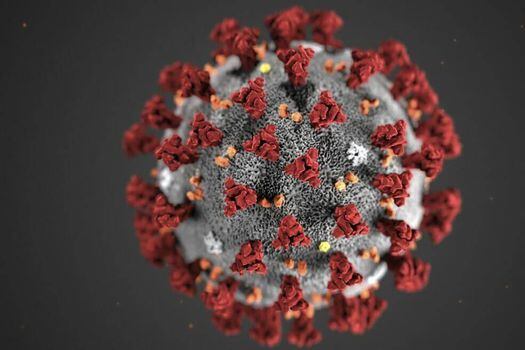 Esta es la ilustración del nuevo coronavirus. / Centers for Disease Control and Prevention