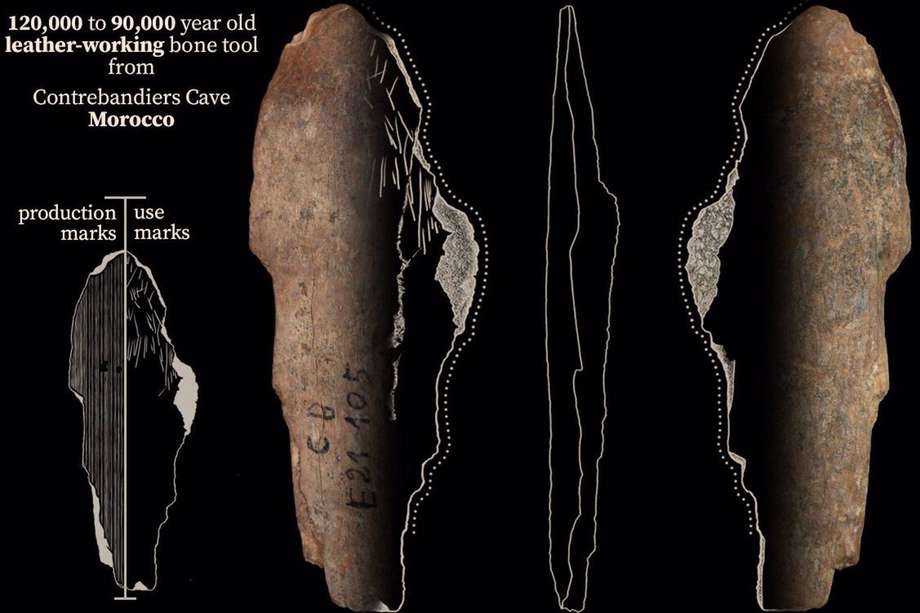 Una herramienta de hueso de la cueva de Contrebandiers, Marruecos, que se utilizó para trabajar el cuero hace 120.000 a 90.000 años.