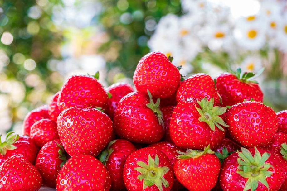 Fresas, beneficios y propiedades que te sorprenderán de esta fruta