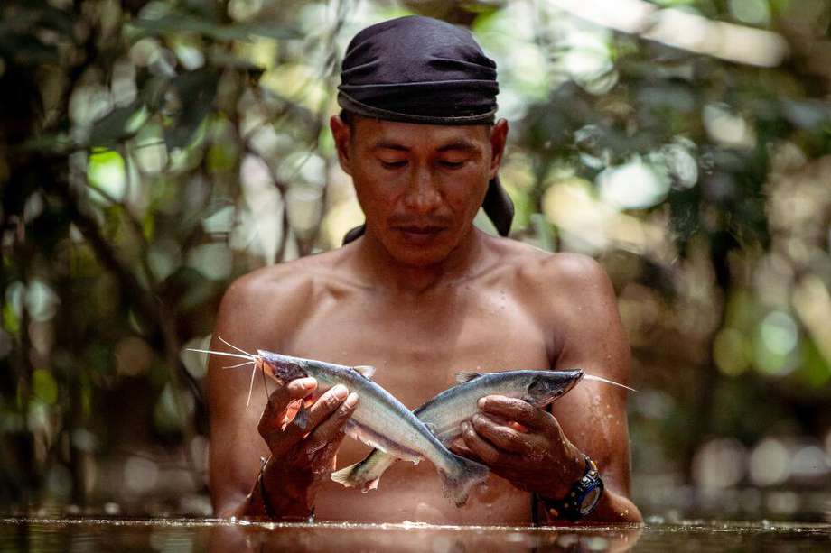 Según el SINIC, en la Amazonía colombiana viven al menos 26 etnias indígenas.