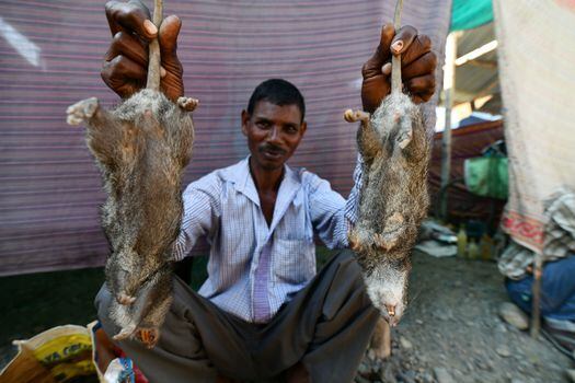 Un kilogramo de carne de rata se vende por unas 200 rupias (2,5 euros), el mismo precio que pagarían por el pollo y el cerdo. / Biju Boro / AFP