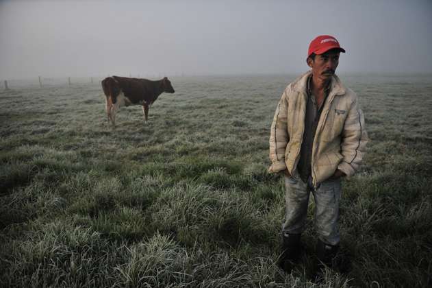 Perdidas más de 10.000 hectáreas de cultivos por época de heladas y sequía en Cundinamarca