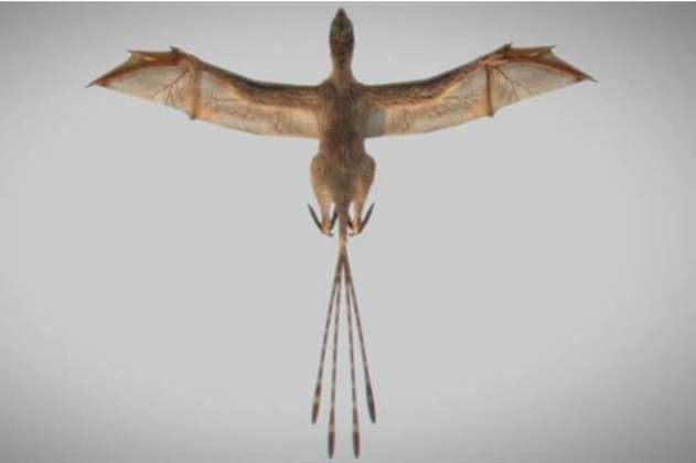 Encuentran una segunda especie de dinosaurio con alas de murciélago