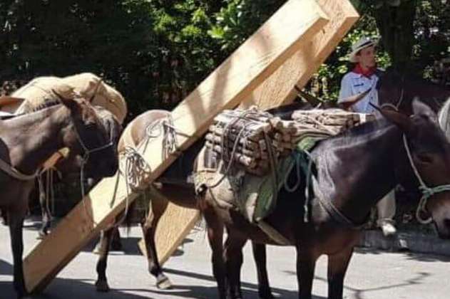 Denuncian maltrato a mulas en el desfile de arrieros de Envigado