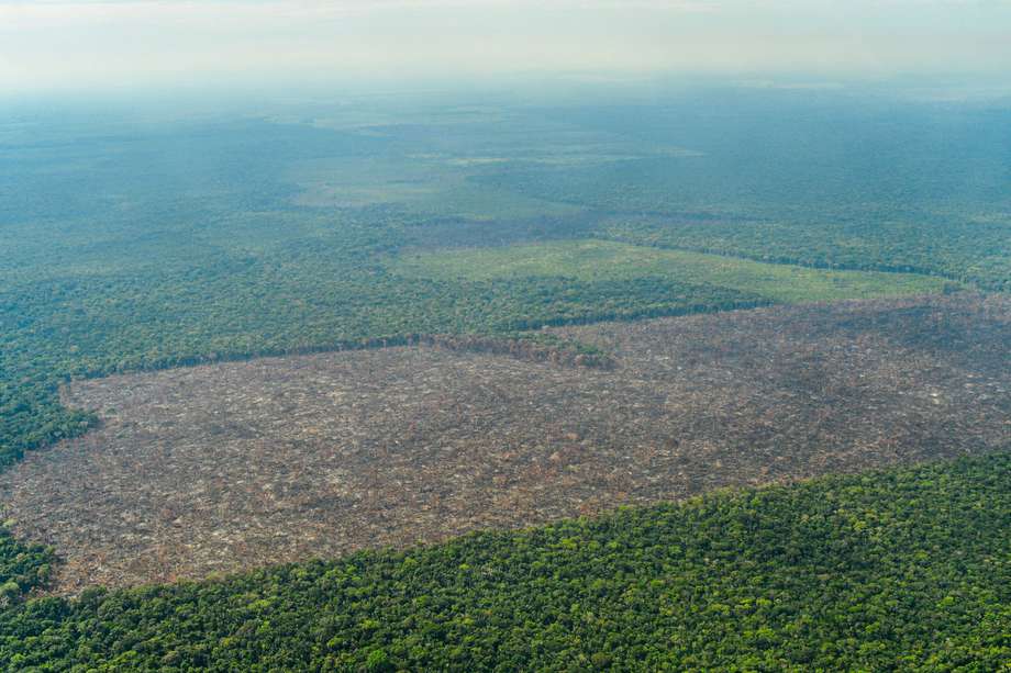 Solo en 2017, un año después de poner en marcha el Acuerdo de paz, Colombia perdió 219.973 hectáreas de bosque. / Fundación para la Conservación y el Desarrollo Sostenible.