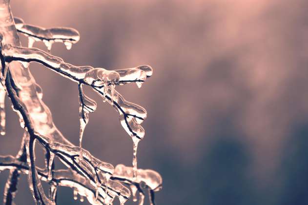 Suecia y Finlandia alcanzaron temperaturas récord por el invierno en esa región