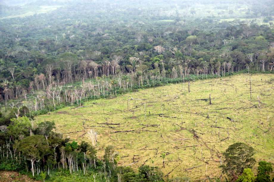 AME3434. NUEVA COLOMBIA (COLOMBIA), 15/07/2022.- Fotografía de archivo del 3 de septiembre de 2020 que muestra un aspecto general del área deforestada en zona rural de Nueva Colombia (Colombia). En el 2021 se deforestaron 174.103 hectáreas de bosque en Colombia, lo que representa un aumento del 1,5 % en comparación con el año 2020, una cifra que asciende al 13 % en el Parque Nacional Chiribiquete, el área protegida más grande del sistema de parques naturales del país, según las cifras oficiales divulgadas este viernes. EFE/ Mauricio Dueñas Castañeda ARCHIVO
