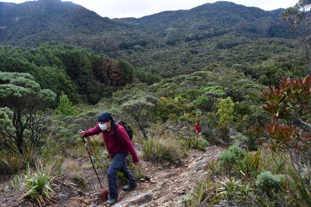 Con mayor seguridad: guía para visitar senderos ecológicos en Bogotá