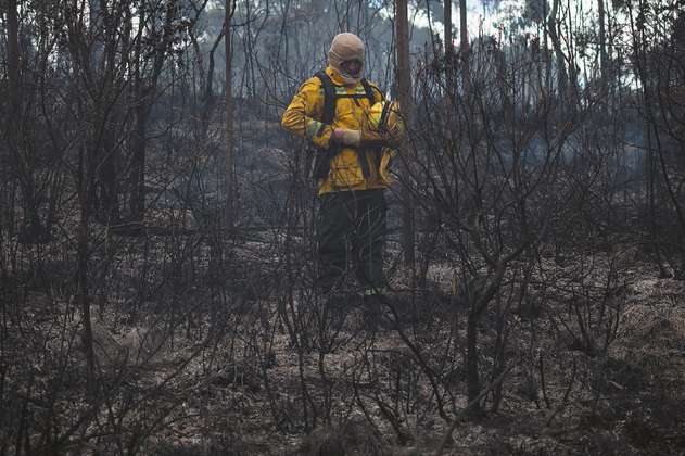 Los incendios afectan varias zonas de Argentina en plena ola de calor