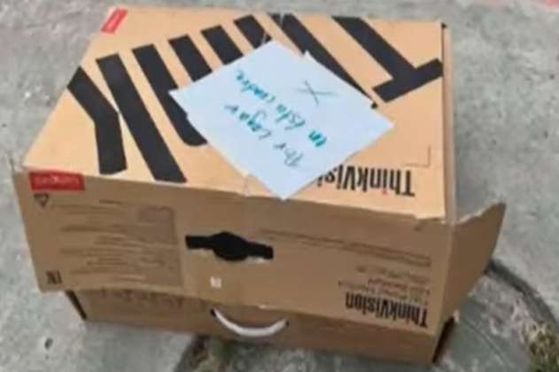 Perro fue atropellado y abandonado en una caja en Bogotá