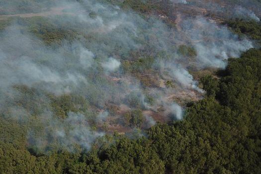 Las llamas han afectado la cobertura vegetal de pasto conocida como enea, la matandrea y vegetación seca como hojarasca y ramas de árboles, lo que ocasiona grandes columnas de humo. 
