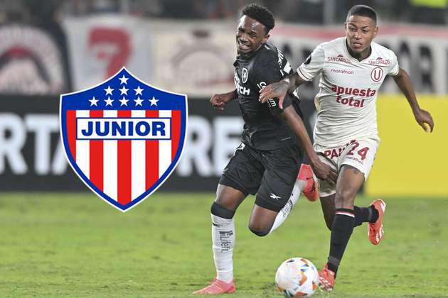 Junior clasificó a octavos de la Copa Libertadores tras victoria de Botafogo