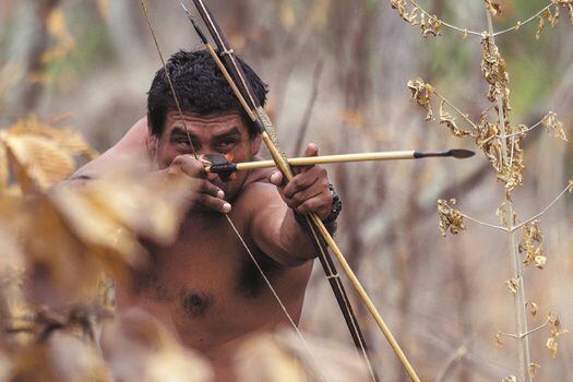 Cazador indigena de la Guyana en busca de presas para llevar alimento a su comunidad.  / David Mansell-Moullin - FAO